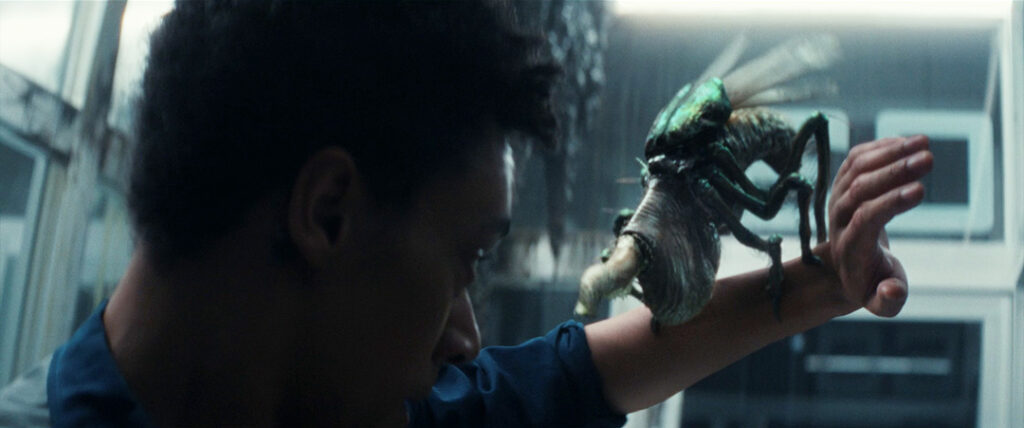 Alien: Earth - A "fly" creature is attacking Isaac