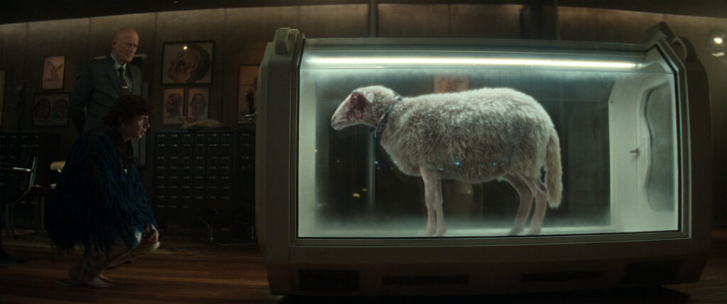 Alien: Earth - Kavalier communicates with the Ocellus in the sheep's body