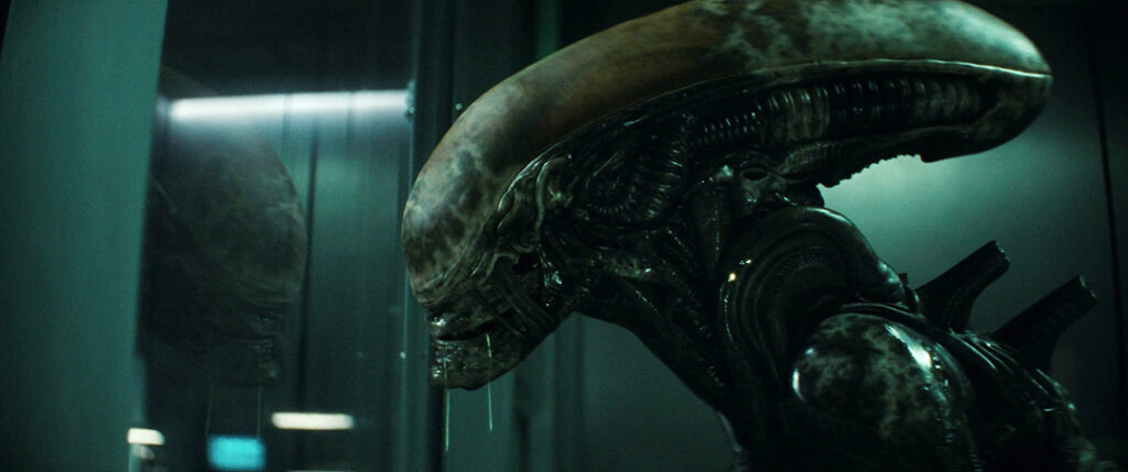 Alien: Earth - The Xenomorph in its container
